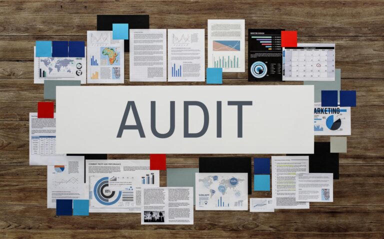 audit management software